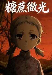 糖蔗微光