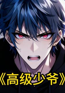 高级少爷