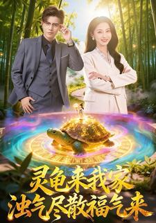 灵龟来我家，浊气尽散福气临