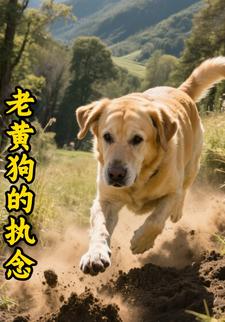 老黄狗的执念