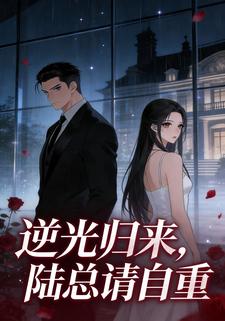 逆光归来，陆总请自重