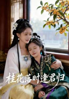 桂花落时逢君归