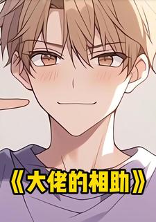 大佬的相助