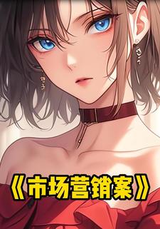 市场营销案