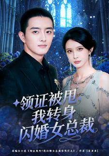 领证被甩，我转身闪婚女总裁