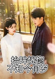 抬眸恍惚不知今何岁