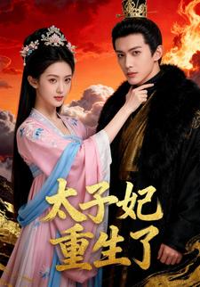 太子妃重生了