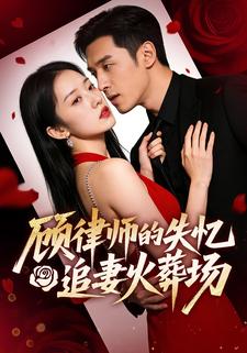 顾律师的失忆追妻火葬场