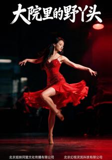 大院里的野丫头