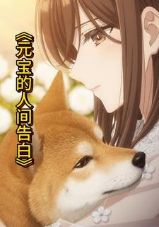 元宝的人间告白