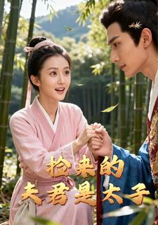 捡来的夫君是太子