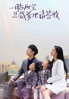 一胎两宝:总裁爹地请签收