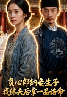 负心郎纳妾生子，我休夫后掌一品诰命