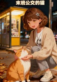 末班公交的猫