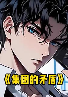 集团的矛盾