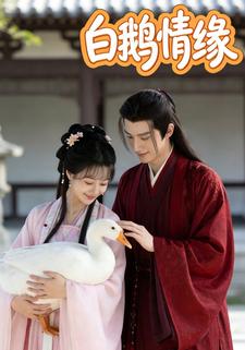 白鹅情缘