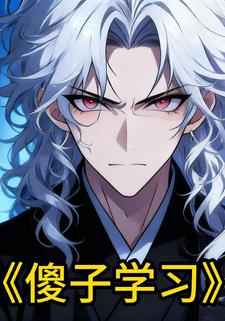 傻子学习