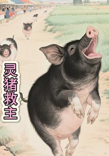 灵猪救主