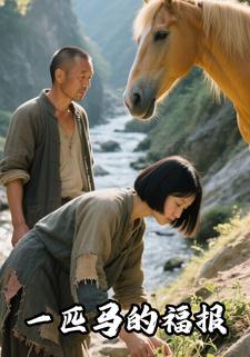 一匹马的福报