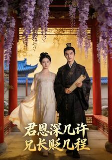 君恩深几许兄长贬几程