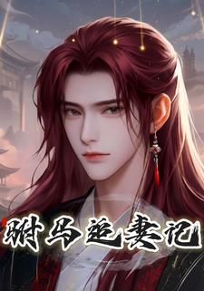 驸马追妻记