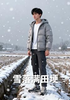 雪落满田埂