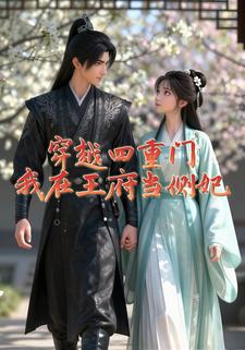 穿越四重门：我在王府当侧妃