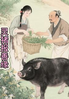 灵猪报善缘