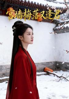 宫墙梅落又逢君