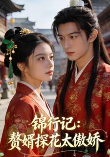 锦行记：赘婿探花太傲娇