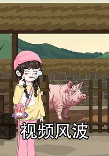 视频风波