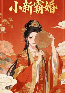 小新霸婚
