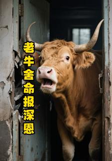 老牛舍命报深恩