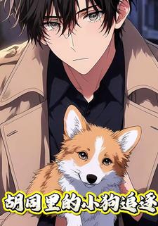 胡同里的小狗追逐