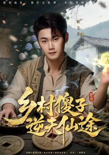 乡村傻子逆天仙途