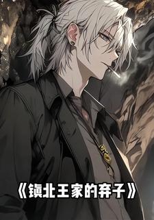 镇北王家的弃子