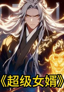 超级女婿.