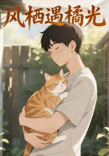 风栖遇橘光