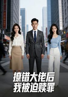 撩错大佬后我被迫赎罪