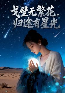 戈壁无繁花，归途有星光