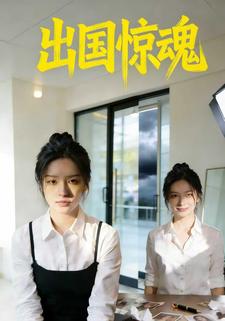 出国惊魂