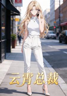 云霄总裁