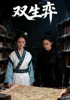 双生弈