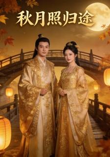 秋月照归途