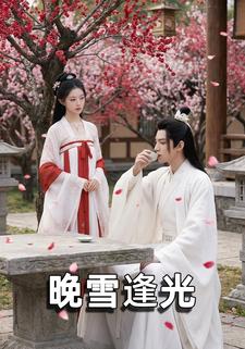 晚雪逢光