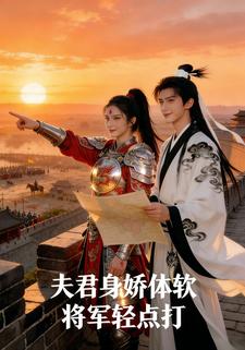 夫君身娇体软将军轻点打