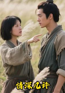 情深几许