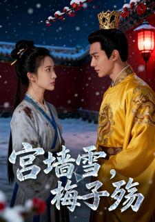 宫墙雪，梅子殇