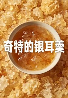 奇特的银耳羹