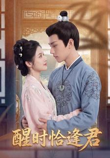 醒时恰逢君